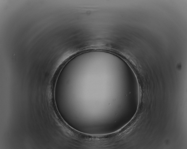 X0000097971458200804011709