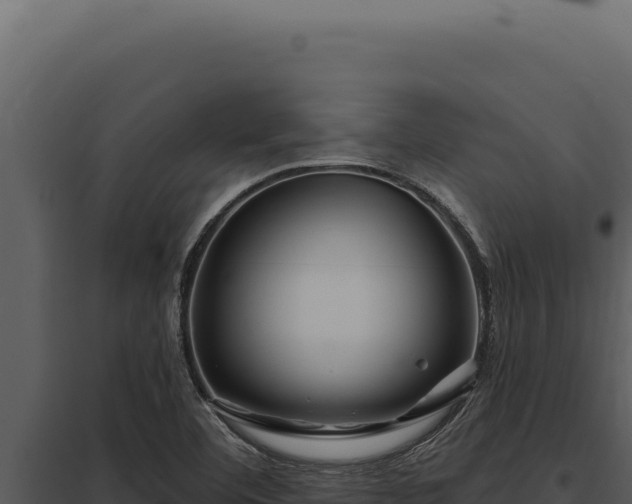 X0000097971460200804011709