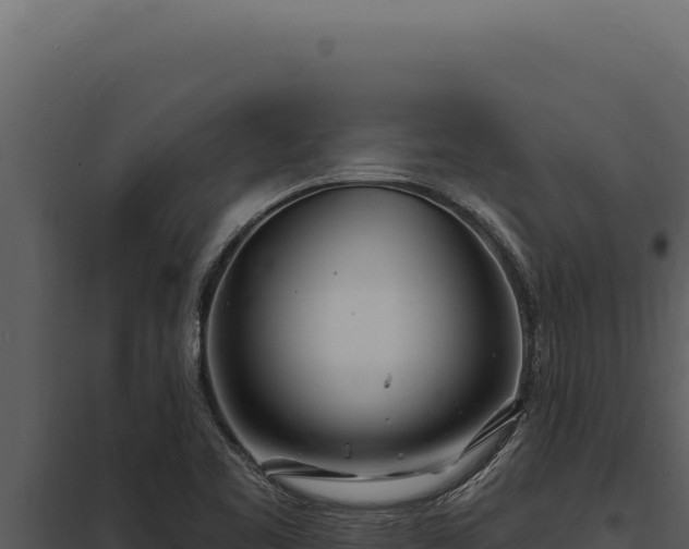 X0000097971461200804011709
