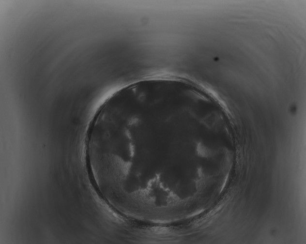 X0000097971463200804011709