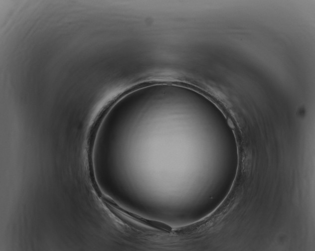 X0000097971464200804011709