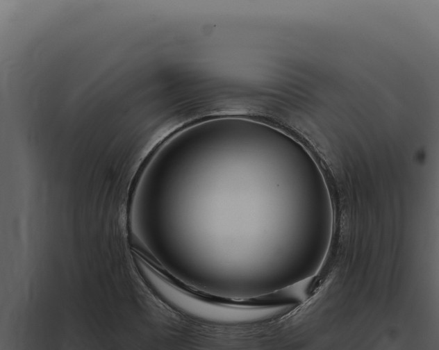 X0000097971465200804011709