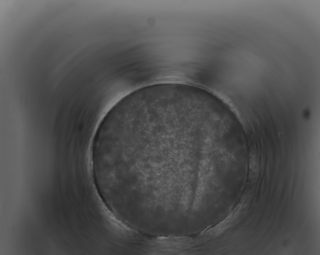 X0000097971466200804011709