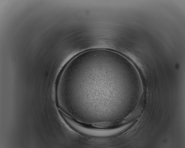X0000097971468200804011709