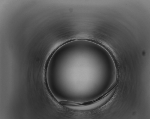 X0000097971469200804011709