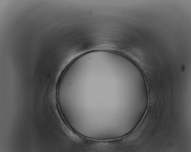 X0000097971470200804011709