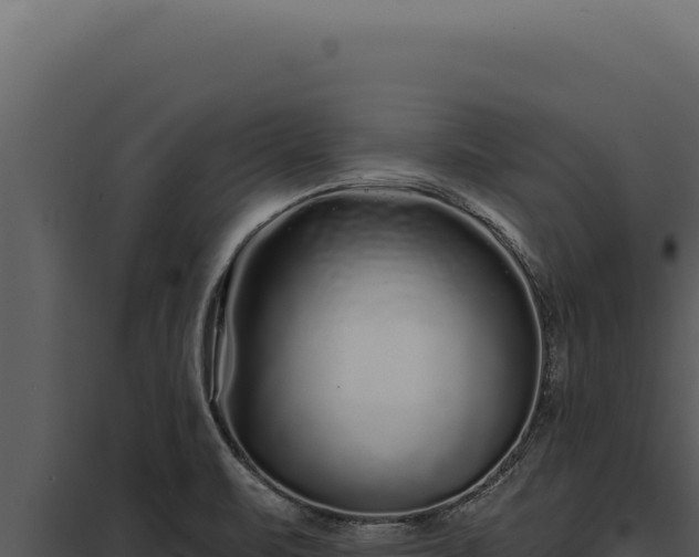 X0000097971471200804011709