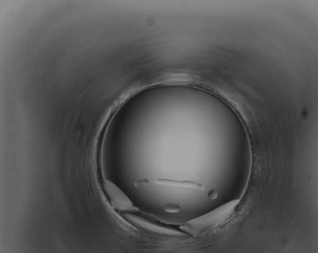 X0000097971475200804011709