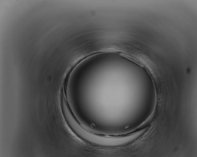 X0000097971476200804011709