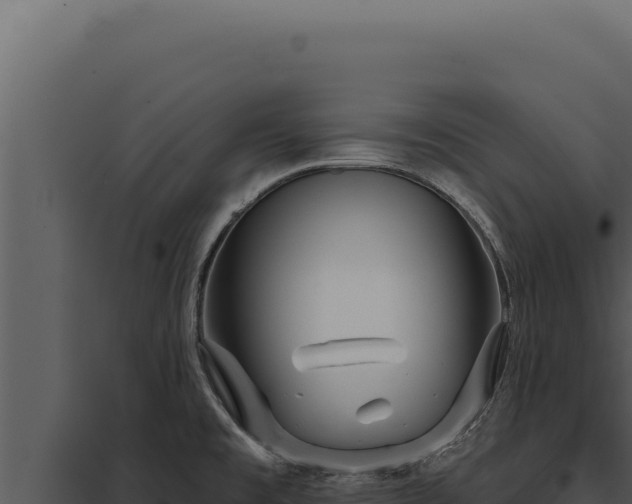 X0000097971477200804011709