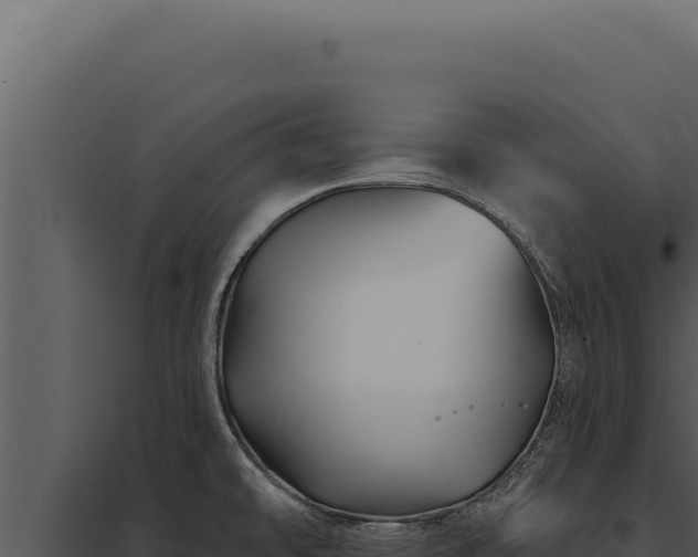 X0000097971478200804011709