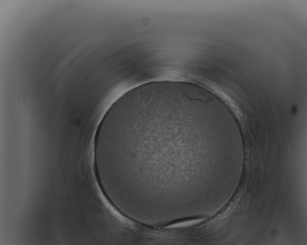 X0000097971479200804011709