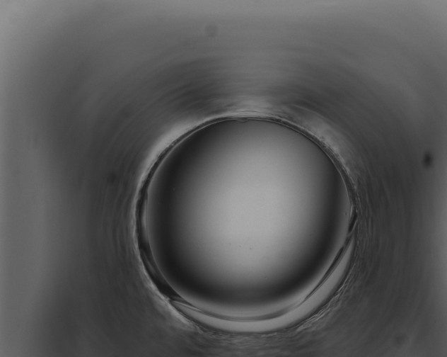 X0000097971480200804011709