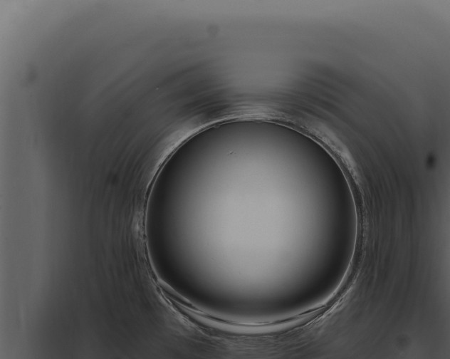 X0000097971481200804011709