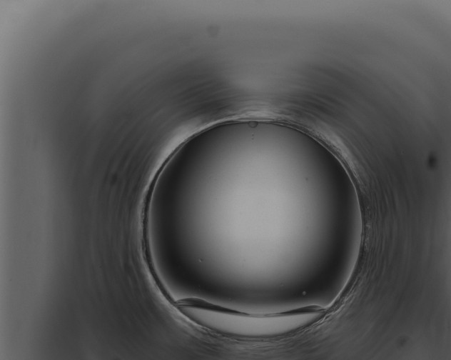X0000097971483200804011709