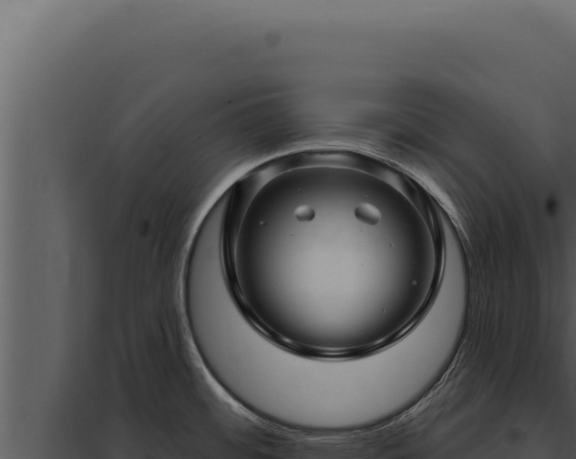 X0000097971484200804011709