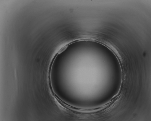 X0000097971485200804011709
