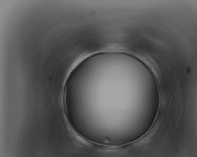 X0000097971486200804011709