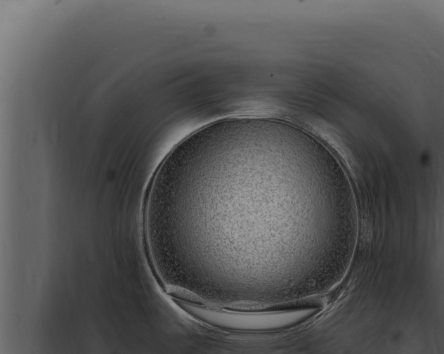 X0000097971487200804011709