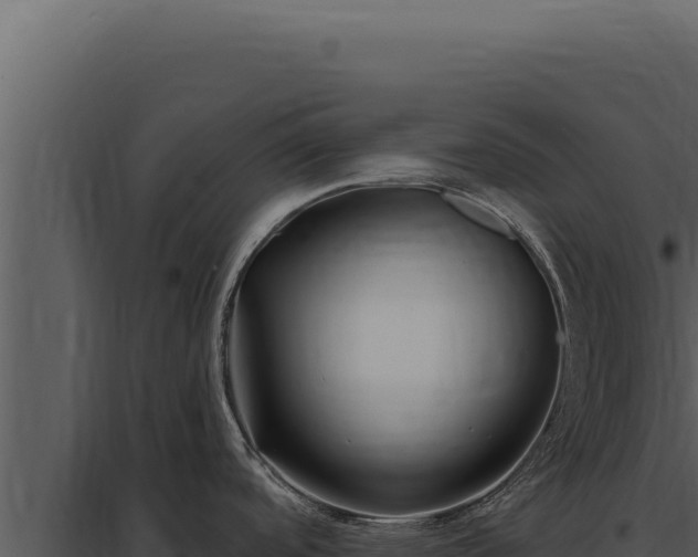 X0000097971488200804011709