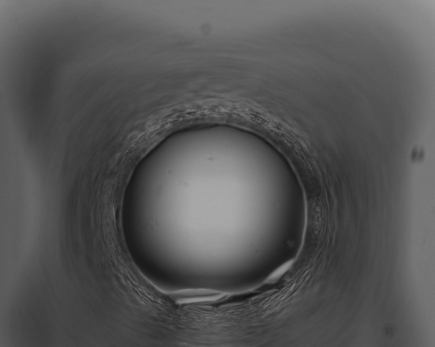 X0000097971489200804011708