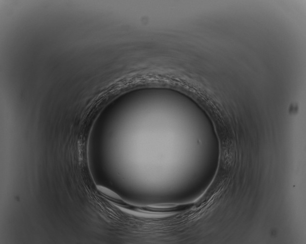 X0000097971490200804011708