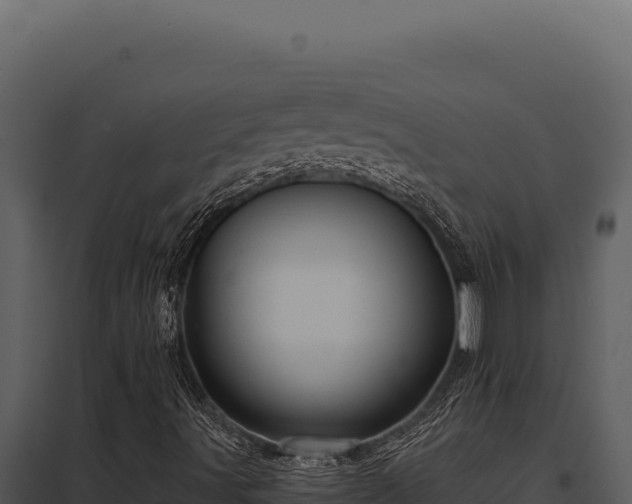 X0000097971491200804011708