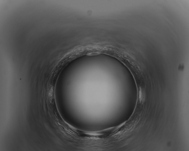X0000097971492200804011708