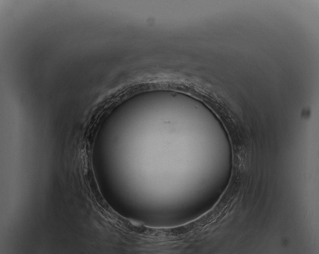 X0000097971493200804011708