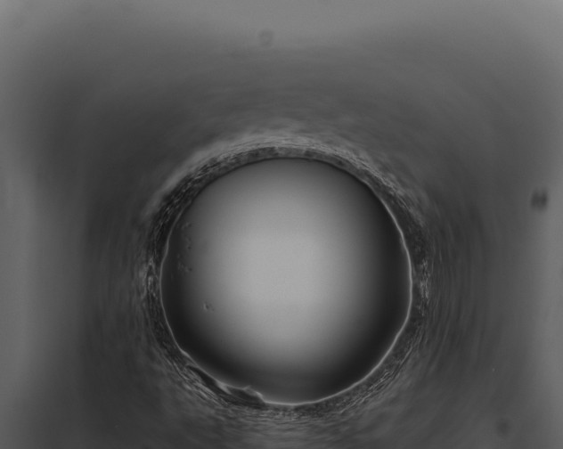 X0000097971495200804011708