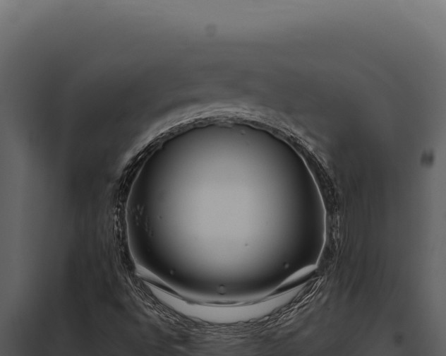 X0000097971496200804011708