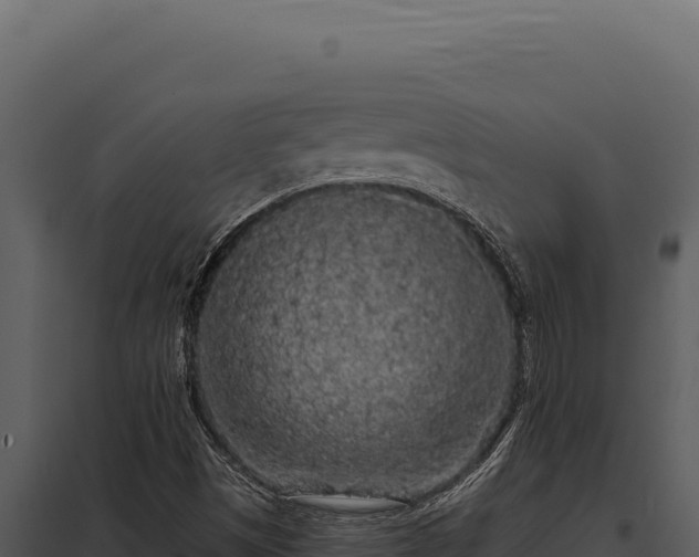 X0000097971497200804011708