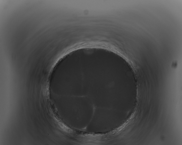 X0000097971498200804011708