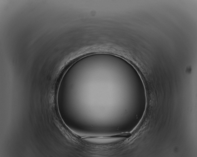 X0000097971499200804011708