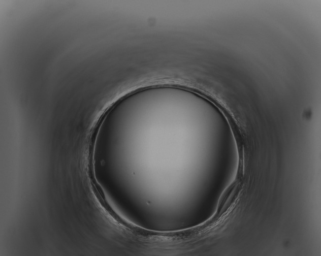 X0000097971500200804011708