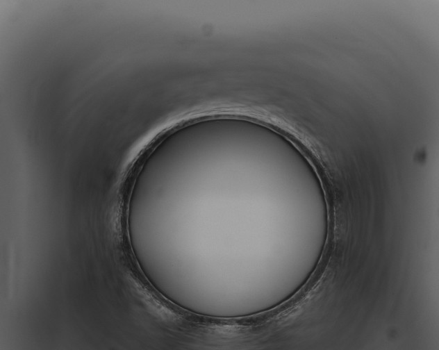 X0000097971502200804011708