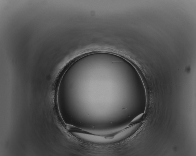 X0000097971503200804011708