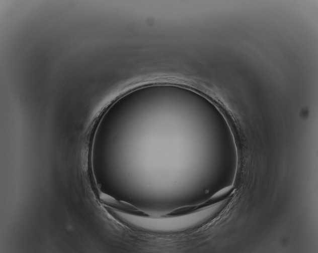 X0000097971504200804011708
