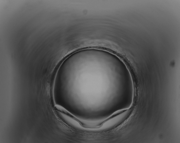 X0000097971505200804011708