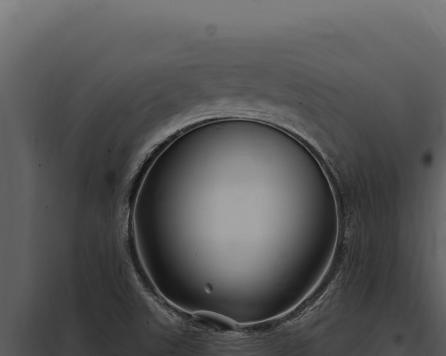 X0000097971507200804011708