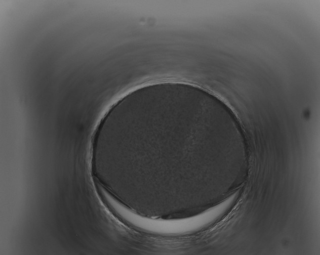 X0000097971508200804011708