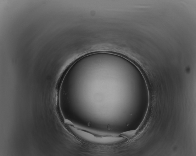 X0000097971509200804011708