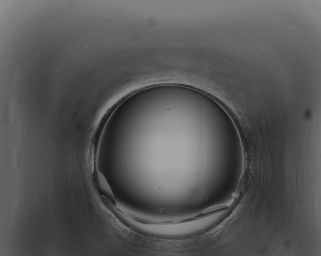 X0000097971510200804011708