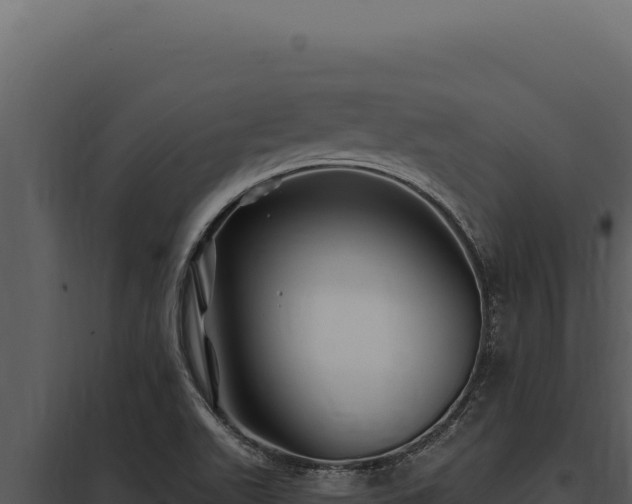 X0000097971511200804011708