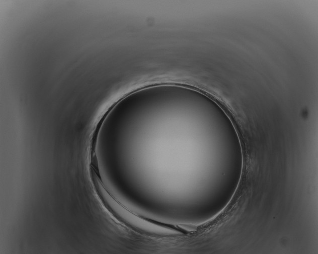 X0000097971512200804011708