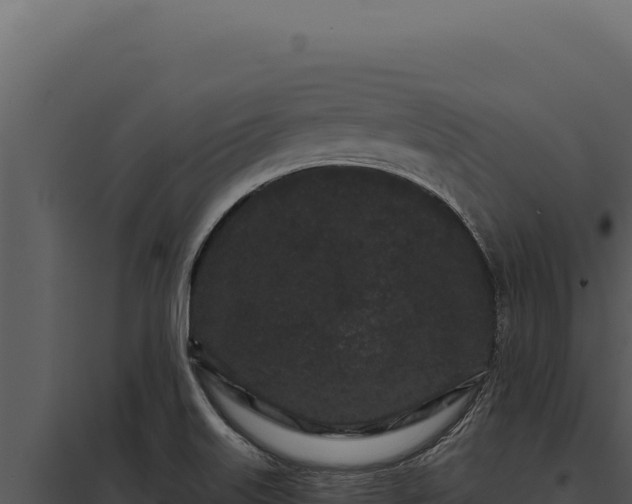 X0000097971515200804011708