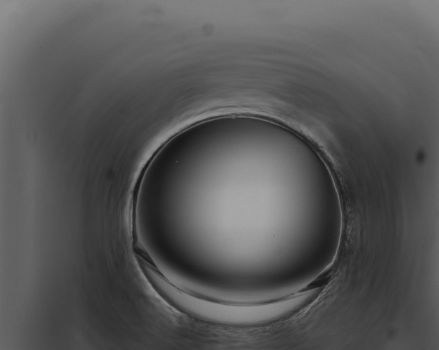 X0000097971516200804011709