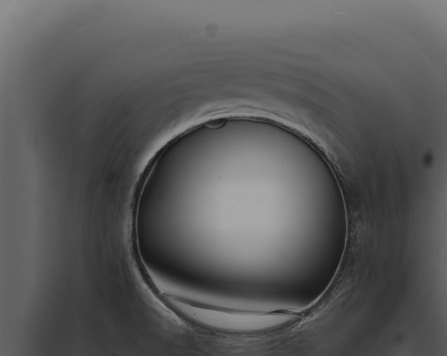X0000097971518200804011709