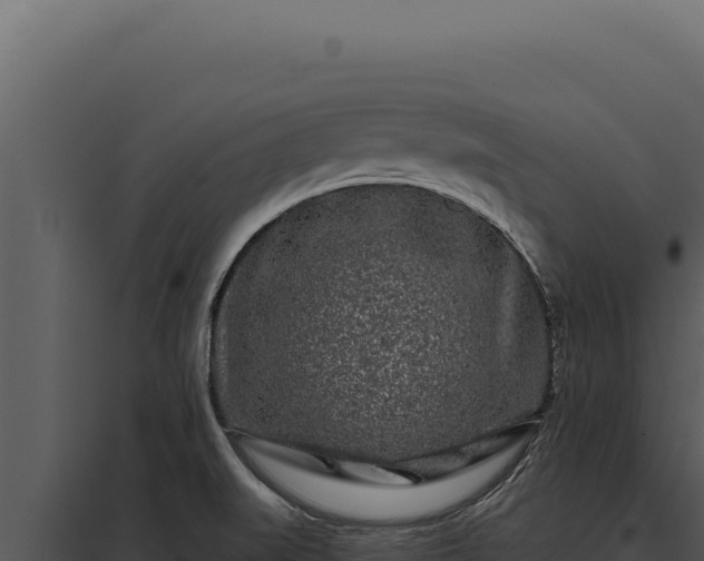 X0000097971519200804011709