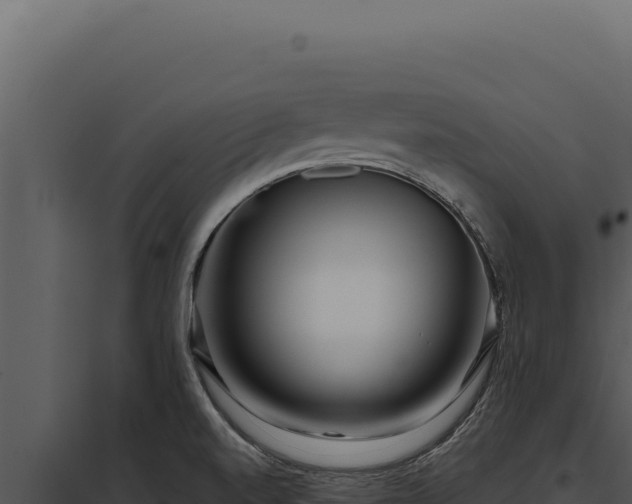 X0000097971520200804011709